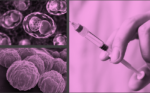 colorized images of bacteria and a syringe representing a vaccine